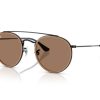 Rounded Sunglass Brown Color